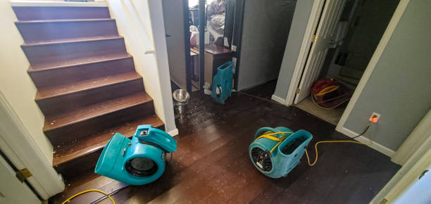 Best Flooded house restoration  in Salem, MA