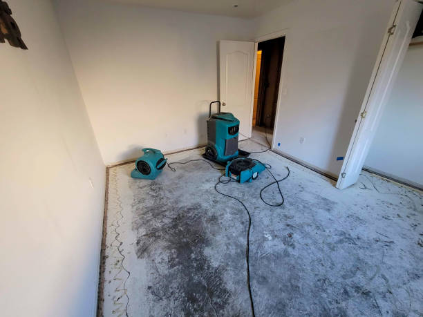 Best Residential water damage restoration  in Salem, MA