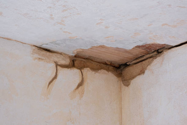 Best Water damage cleanup near me  in Salem, MA