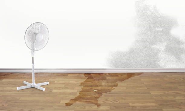 Best Emergency water damage restoration  in Salem, MA